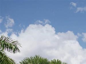 vero green apartments vero beach pool clubhouse